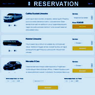 limousine web design